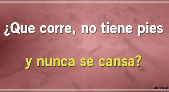 Pon a prueba tu intelecto y halla una respuesta.