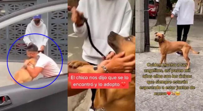 El perrito se mostró muy emocionado por ver a su ex dueño luego de 6 años