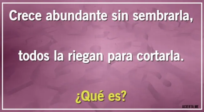 Acertijo extremo creado para mentes brillantes.