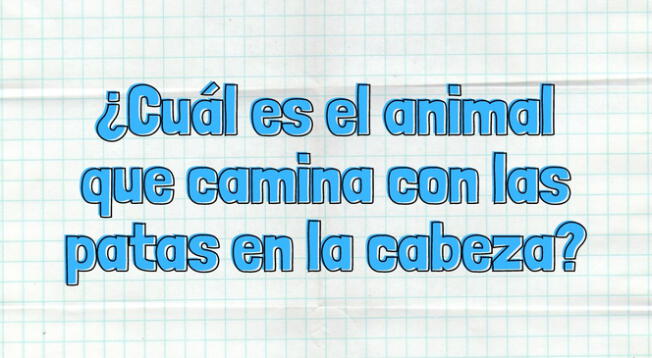 ¡Abre bien los ojos y tu mente! Solo así podrás resolver el desafío.