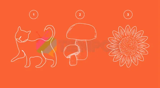 Descubre más detalles sobre tu comportamiento con este test de personalidad.