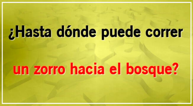 Analiza el problema de este complicado acertijo y encuentra la respuesta en tiempo récord.