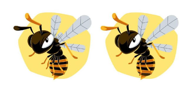 Reto: halla las 3 diferencias en esta abeja del desafío extremo