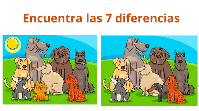 Tendrás que agilizar tu vista para dar con las diferencias entre los perritos.