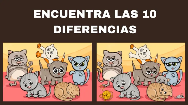 Encuentra las diferencias entre los dos grupos de gatitos.