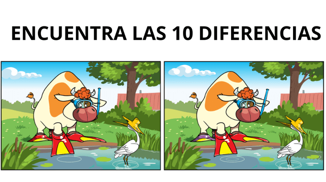 Tienes que tener una vista de halcón para dar con las diferencias.