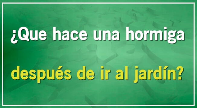 Solo un vedadero CRACK logrará superar esta complicada prueba mental. Solo un vedadero CRACK logrará superar esta complicada prueba mental.