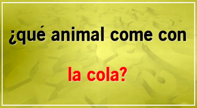 Lee con mucha atención la pregunta de este acertijo visual y supera su alto grado de dificultad. Lee con mucha atención la pregunta de este acertijo visual y supera su alto grado de dificultad.