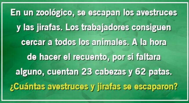 Pon tu máxima concentración y demuestra tus capacidades para descubrir la respuesta del acertijo visual.