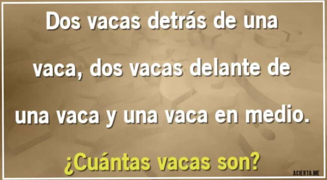 Solo las personas más hábiles logran desarrollar este nuevo acertijo mental.