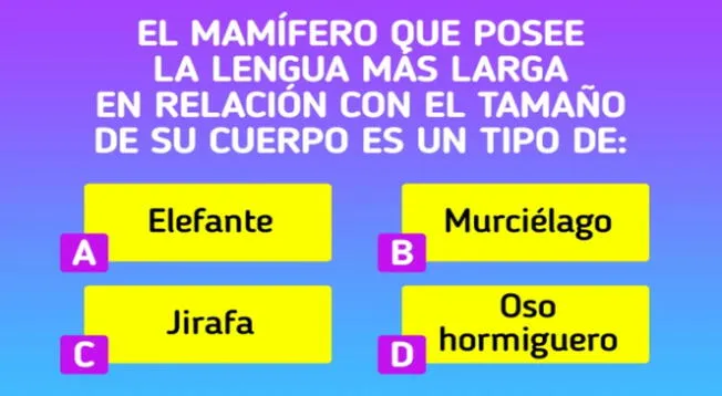 Resuelve esta trivia mental y demuestra que eres una persona inteligente