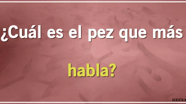 Solo personas inlectuales logran dar con la respuesta.