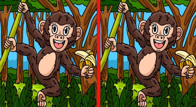 Solo tienes 7 segundos para encontrar las 3 diferencias en este reto. Solo tienes 7 segundos para encontrar las 3 diferencias en este reto.