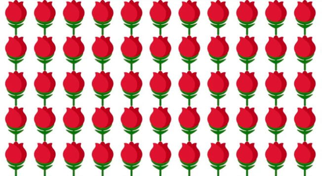 Mira con atención la imagen llena de flores y encuentra la respuesta del reto visual en tiempo récord. Mira con atención la imagen llena de flores y encuentra la respuesta del reto visual en tiempo récord.