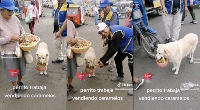 Perrita coja acompaña a su dueña a vender caramelos.