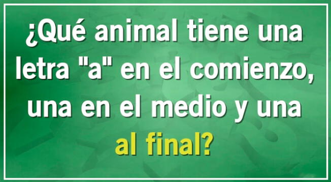 Si quieres superar este acertijo visual, recuerda que cuentas con un tiempo límite de 7 segundos.