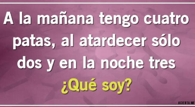 ¿Cuál es la respuesta correcta? Tienes 5 segundos para ganar