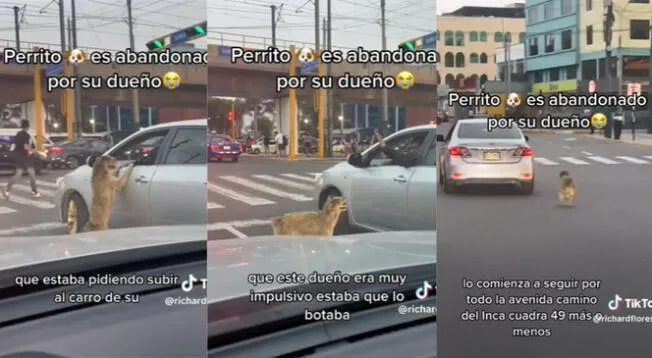 Perrito se volvió viral al ser abandonado por su dueño en plena vía pública