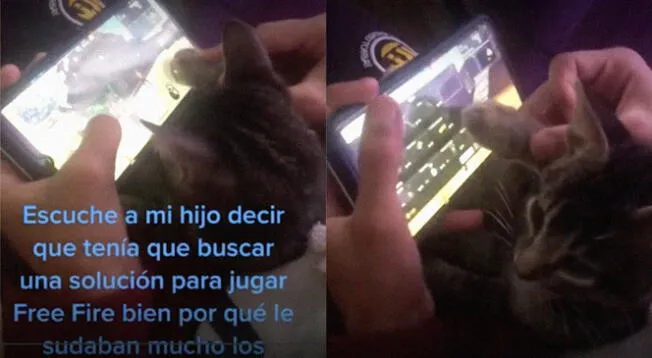 Joven usa patita de su gato para jugar Free Fire.