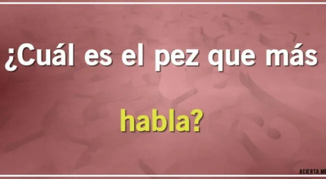 Descubre el pez que más habla con este acertijo visual