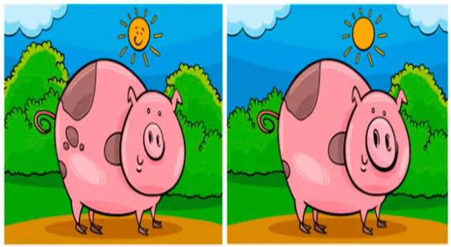 Solo los más hábiles podrán ver las diferencias entre estos animales. Solo los más hábiles podrán ver las diferencias entre estos animales.