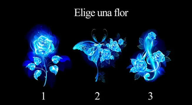 La flor que más te guste de este test de personalidad podrá revelarte detalles impresionantes de ti.