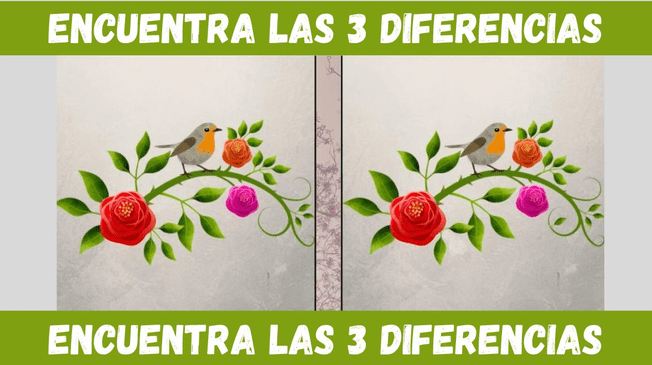 Encuentra las 3 diferencias en tan solo 5 segundos