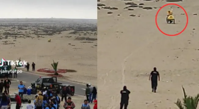 Heladero fue captado en plena frontera de Perú y Chile