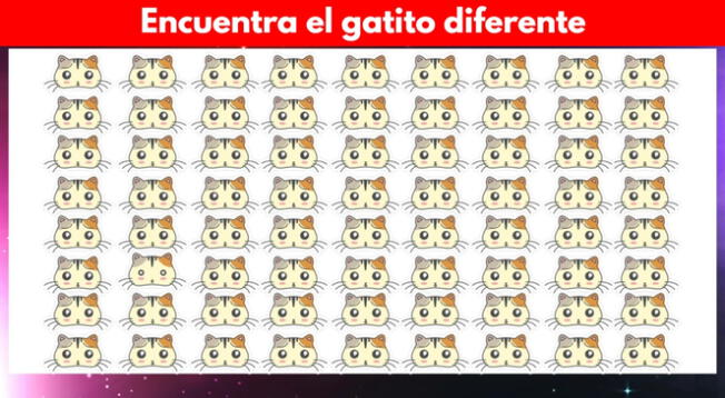 Este reto es para quienes tienen una vista de depredador Este reto es para quienes tienen una vista de depredador