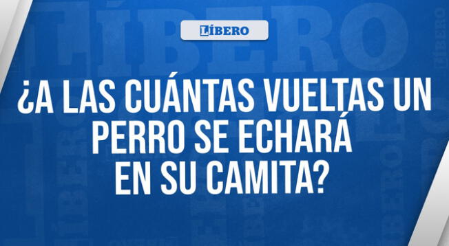 Descubrir la respuesta no será tan sencillo de lograrlo. ¿Obtendrás la victoria?