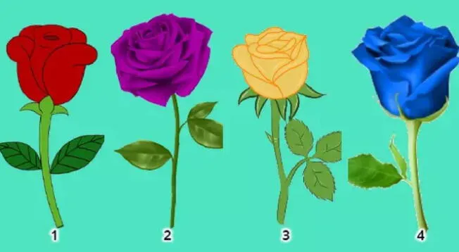 Elige una de las rosas y conoce la verdad sobre tu forma de ser