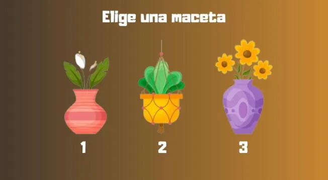 Los usuarios quedaron conformes por los resultados emitidos del test visual. Los usuarios quedaron conformes por los resultados emitidos del test visual.