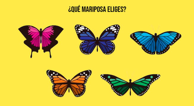 Elige la mariposa y descubre detalles asombrosos de tu forma de ser en cuestión de segundos. Elige la mariposa y descubre detalles asombrosos de tu forma de ser en cuestión de segundos.