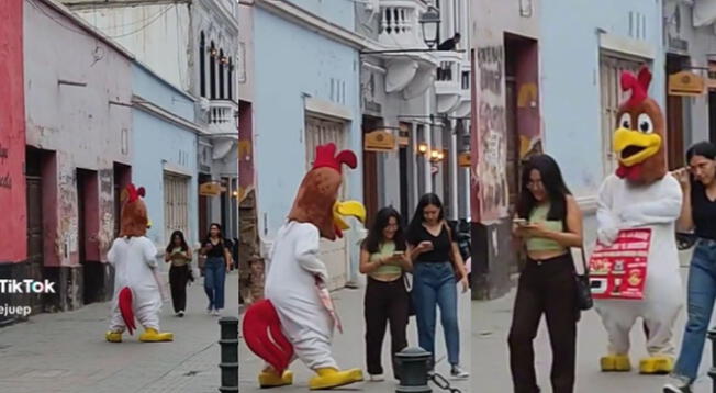 Un gallo se pasó de "atrevido" al picotear a dos jóvenes que no le hicieron caso.