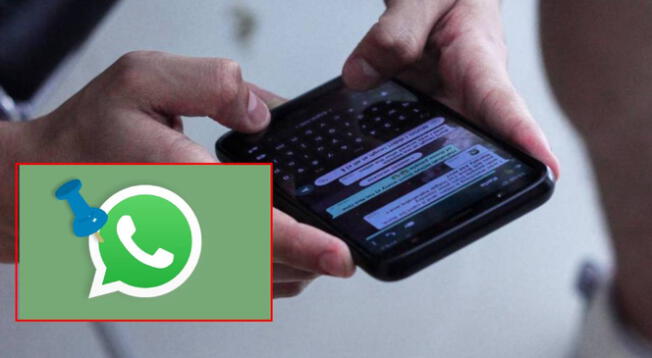 WhatsApp 2023: Guía para poder fijar tus mensajes desde ahora