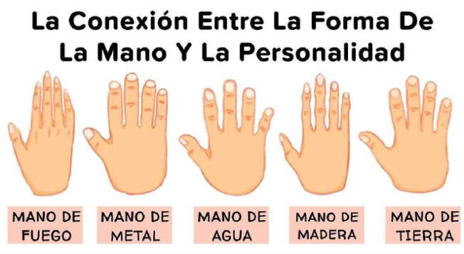 Test viral: elige la mano que te represente y conoce más de ti Test viral: elige la mano que te represente y conoce más de ti