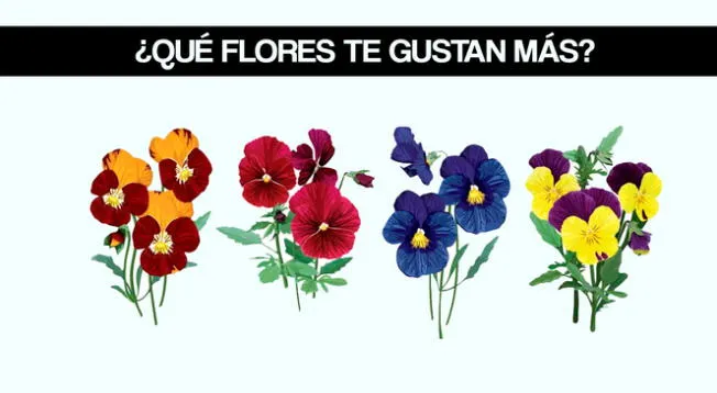 Responde qué flor te gusta más y conoce en segundos detalles reveladores de tu personalidad.