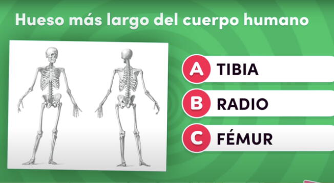 Demuestra tus conocimientos y responde la interrogante en segundos.