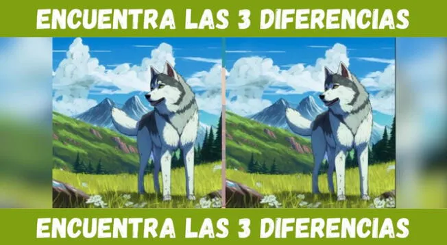 Ubica las tres diferencias en la imagen en cuestión de segundos.