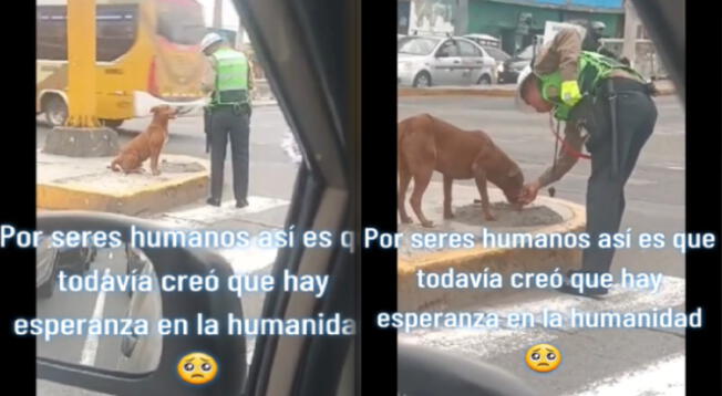 Policía es aplaudido por miles de usuarios por noble gesto con un perro