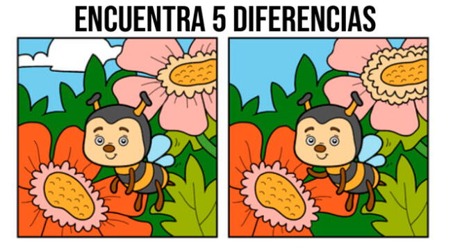 Si tienes gran habilidad visual, podrás lograrlo en poco tiempo. Si tienes gran habilidad visual, podrás lograrlo en poco tiempo.