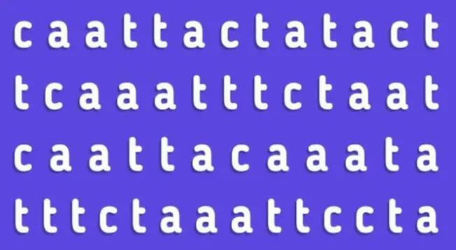 Analiza el reto visual para encontrar la respuesta correcta en menos de 5 segundos.