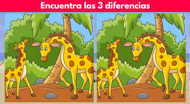 Intenta ubicar las 3 diferencias dentro de la ilustración de la familia de jirafas. Intenta ubicar las 3 diferencias dentro de la ilustración de la familia de jirafas.