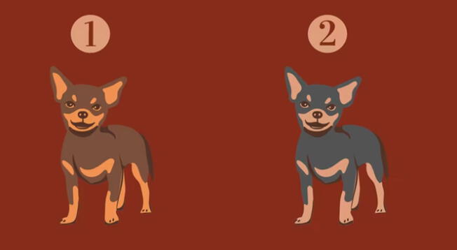 ¿Opción 1 o 2? Concéntrate, escoge uno y entérate lo que piensan sobre ti gracias a este TEST. ¿Opción 1 o 2? Concéntrate, escoge uno y entérate lo que piensan sobre ti gracias a este TEST.
