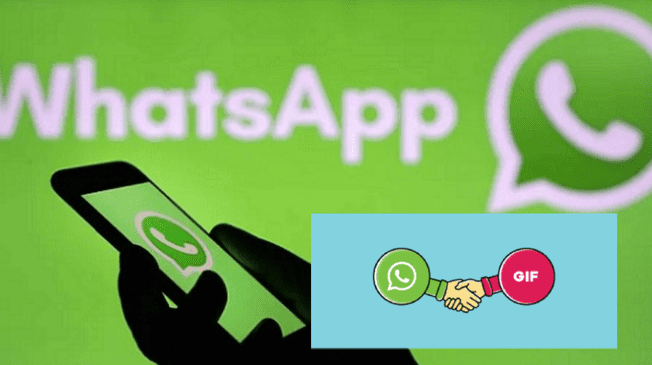 WhatsApp 2023: así puedes crear un GIF con tu propio contenido