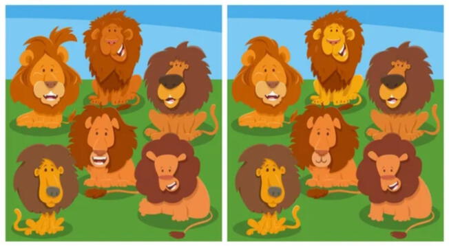 Encuentra las 5 diferencias que oculta esta divertida imágen de leones