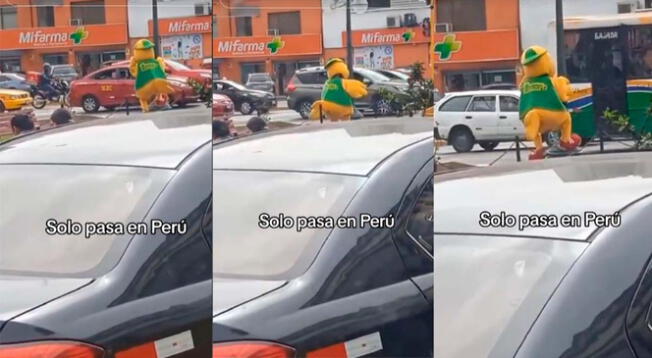 Pollo es captado bailando perreo en poste alumbrado público.