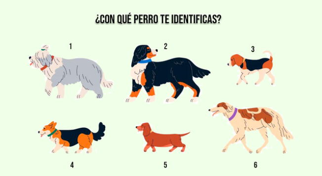 Escoge una de las opciones de este test visual y conoce más detalles de ti en cuestión de pocos segundos.