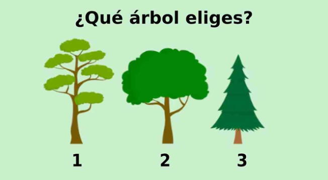 Intenta ser sincero con tu elección y conoce cuál es tu edad mental.