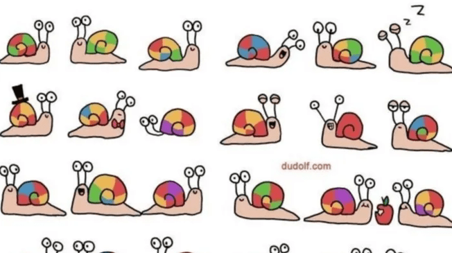 ¿Cuál es el único caracol que se diferencia? El 97 % no acierta en el tiempo